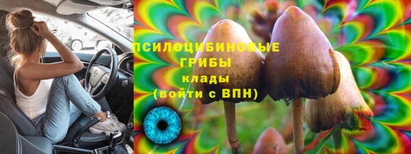 соль ск Алзамай
