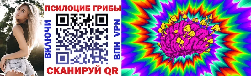 Галлюциногенные грибы GOLDEN TEACHER закладка Махачкала