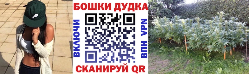 Бошки Шишки VHQ  Махачкала 